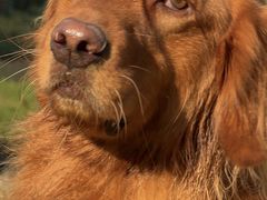 -杭州城北体育公园