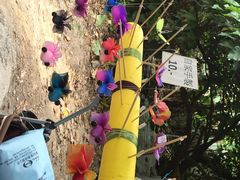iphone_upload_pic-南丫岛
