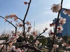 -白塘生态植物园