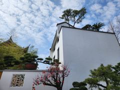 -龙华寺