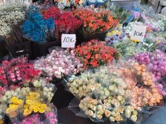 -循礼门鲜花花市(武汉循礼门店)