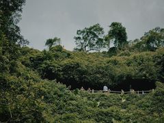 -海口火山口国家地质公园