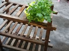 -章记正宗南岗鱼蛋火锅