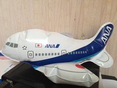 -全日本空输株式会社(上海办事处)
