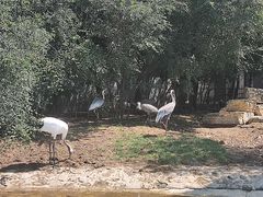 -齐齐哈尔龙沙动植物园