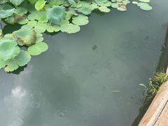 -锦溪古镇