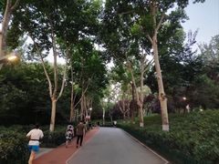 -西安市长乐公园