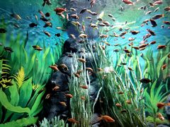 -上海海洋水族馆