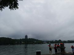 -西湖外事游船(花港观鱼码头)