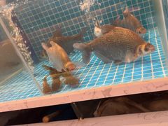 -福满我家大碗厨·湘菜(上海大厦店)