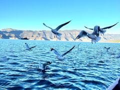 -丽江泸沽湖景区