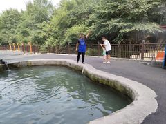 -可心烤鱼
