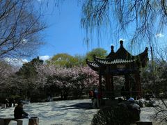 -锦绣公园