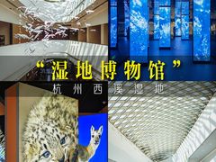 -中国湿地博物馆