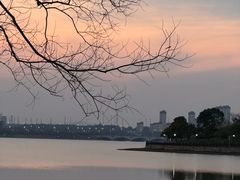 -九龙湖公园