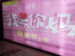 -潇湘国际影城(天马店)