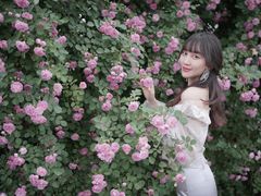 -奥林匹克森林公园北园-停车场