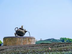 -龙坞茶村