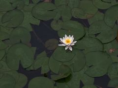 -合肥生态公园