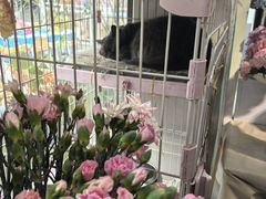 -花里花店(唐镇阳光天地店)