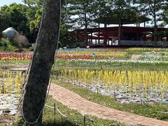 -光明农场大观园