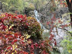 -百里山水画廊乌龙峡谷