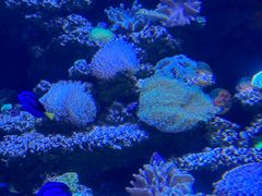 -太平洋海底世界