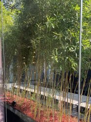 -爱儿美儿童摄影(朝阳公园店)