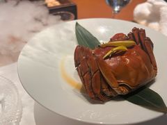 -觀芷隐轩