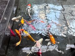 -天津海河悦榕庄·Lobby Lounge大堂吧