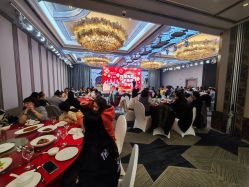 -曼格纳婚礼艺术中心(张江店)