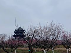 -上海海湾国家森林公园