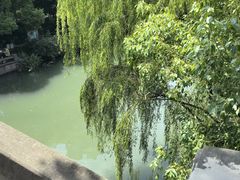 -温州小吃瘦肉丸(清吟街店)