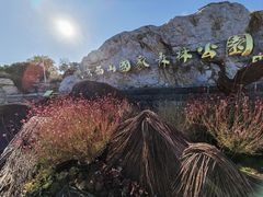 -北京西山国家森林公园