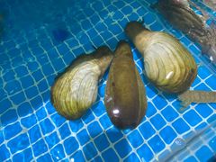 -潮港海鲜家常菜(刘庄店)