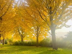 -国家植物园南园