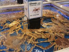 -盒马X会员店(上海森兰商都店)