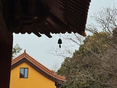 -太子山公园(园东路)