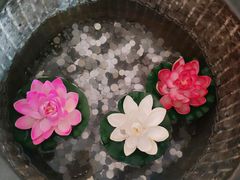-金叶酒家(新华路店)