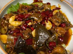 特色甲鱼-佳佳麻辣烧菜馆