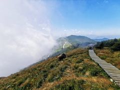 -白草畔自然风景区