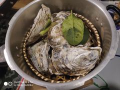 蒸汽韩国生蚝&nbsp;(半打)-辉记炭烧海鲜大排档·老字号(福田店)