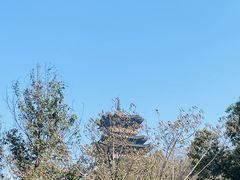 -杭州半山国家森林公园