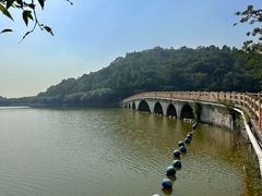 -李小龙乐园(顺德均安店)