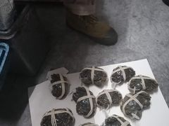 -阳澄湖大闸蟹·琼灵阁牌品牌连锁(吴中总店)