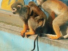 -秦皇岛野生动物园