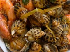 -庄稼人(蓝岸3G店)