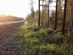 -北极村旅游风景区