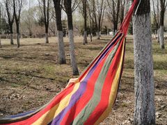 -蒲河岛湿地公园