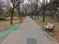 -玲珑塔公园